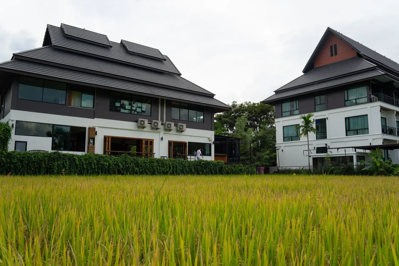 The Warmth Rehab residence surrounded by trees and natural light